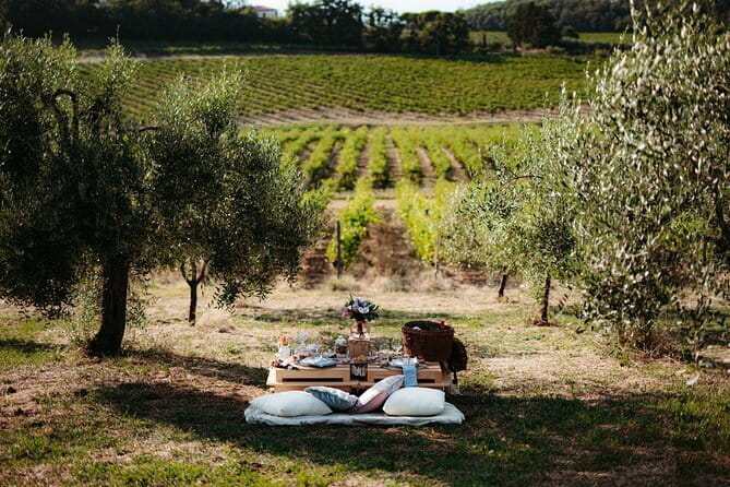1-Hour Guided Tuscan Wine Tasting in Florence - What you taste: rare Tuscany wines, explained in plain language