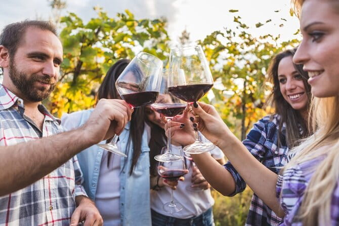 2 wineries Chianti Wine Tasting & Vineyards Walk Private Tour - Price and Value: Is $703.84 per Person Worth It?