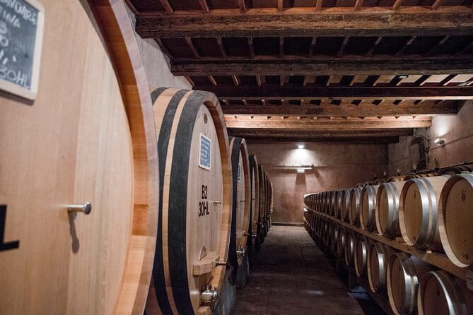 3 Hour Horse Ride to a Castle for Wine Tasting and snack Lunch - Reaching Nipozzano (or another historic wine estate)