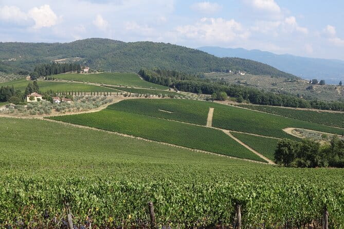 3 Hour Horse Ride to a Castle for Wine Tasting and snack Lunch - The castle visit: ancient rooms first, then wine