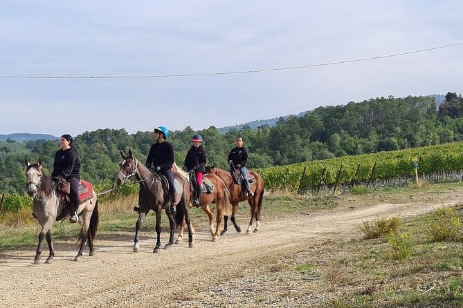 3 Hour Horse Ride to a Castle for Wine Tasting and snack Lunch - The ride timing: what 3 hours to 4 hours in total actually feels like