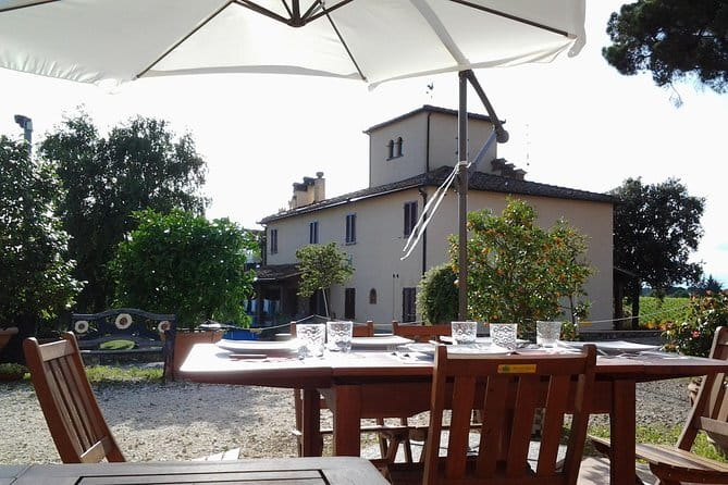 4 Wines & 2 Olive Oils Tasting in Chianti Winery with Tour - The winery tour: barrels, machineries, and how production actually works