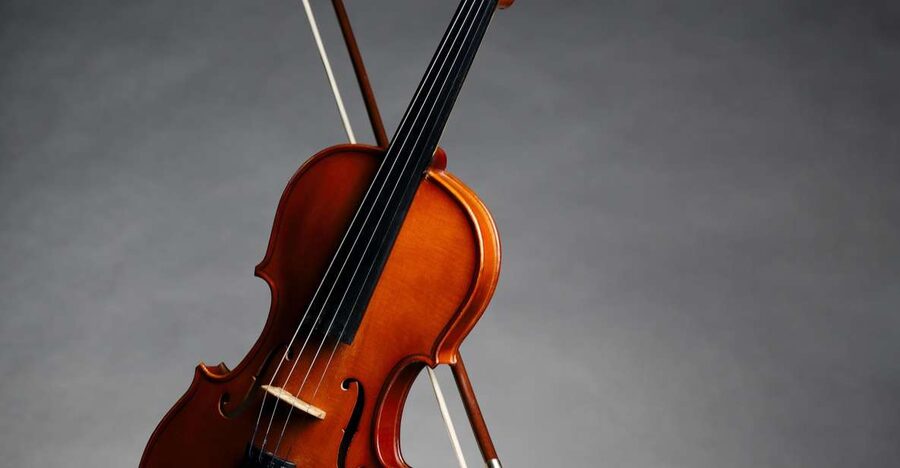 Afternoon Access to Accademia Gallery: David & Stradivarius - Afternoon Access to Accademia, David, Stradivarius: A Tour With a Real Point of View