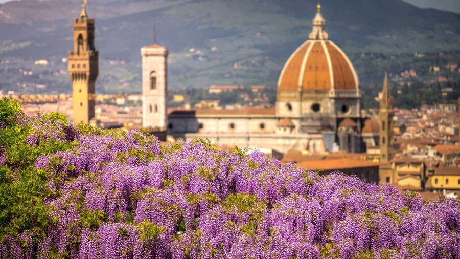 Best of Florence: Private Walking Tour with a Local - Getting the Best Stories, Ask the Right Questions