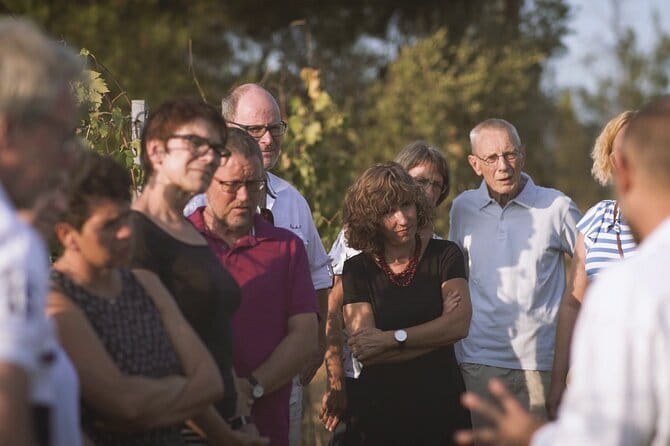 Biodynamic Wine Tasting with Producer in Vinci - Biodynamic wine in Vinci, minus the tourist-speed