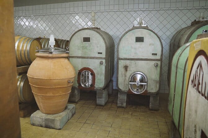 Biodynamic Wine Tasting with Producer in Vinci - The exact wines you’ll taste, and what to pay attention to