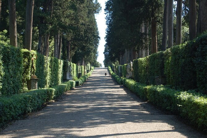 Boboli & Bardini Gardens: The Green Heart of Florence - Giardino di Boboli: Medici garden design, plants, and the “why” behind it