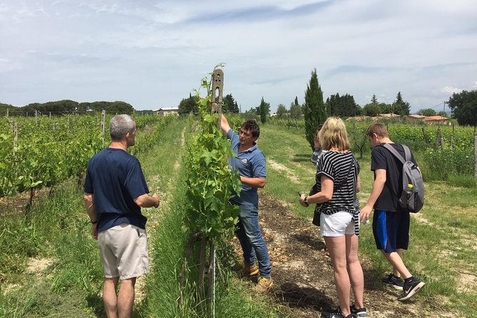 Brunello di Montalcino, small biodynamic wineries - Two boutique winery tours with biodynamic focus and real tasting time