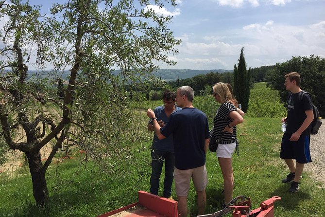 Brunello di Montalcino, small biodynamic wineries - Price and logistics: what $479.97 actually buys you