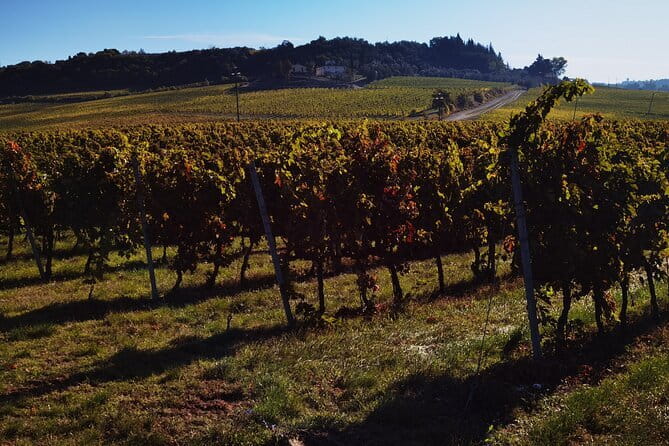 Chianti Classico E-bike Tour - The ride through vineyards and towns: what you should look for