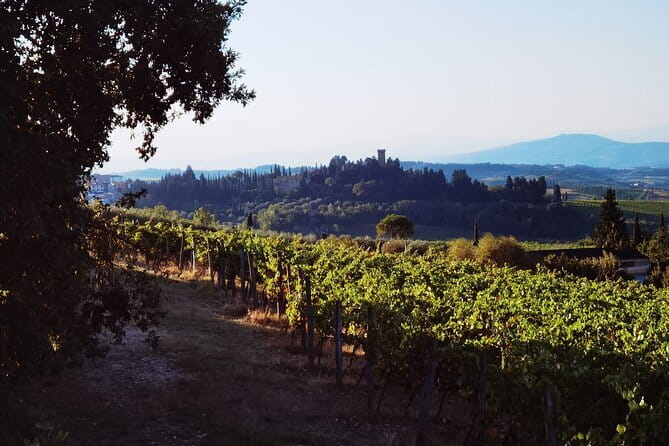 Chianti Classico E-bike Tour - Price and value: what $564.16 per person covers