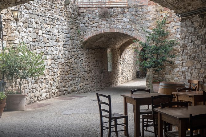 Chianti Classico, Montalcino, Montepulciano by minivan: Wine Tastings & Lunch - Castellina in Chianti: cellar learning plus a classic tasting menu