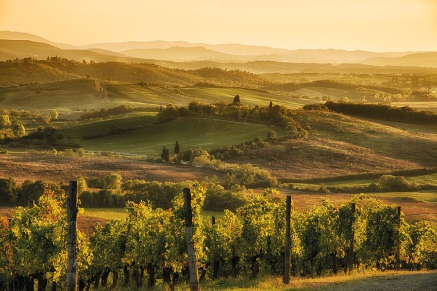 Chianti Countryside Full-Day Tour by Vintage Fiat 500 - FAQ