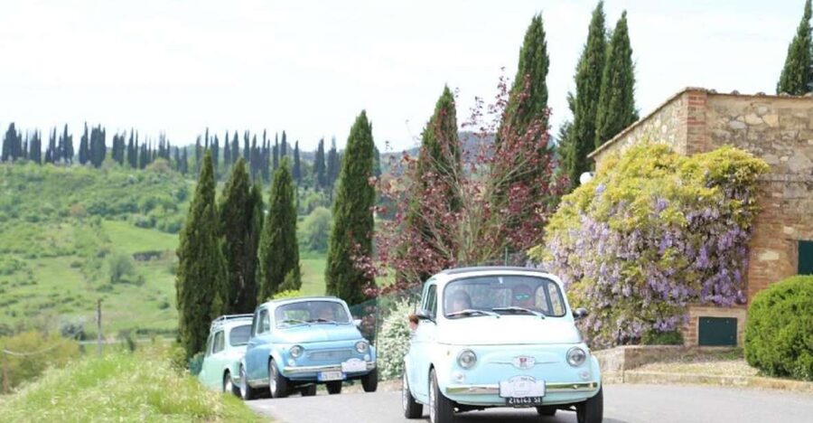 Chianti Countryside Full-Day Tour by Vintage Fiat 500 - The winery experience: what’s included, and what you should bring