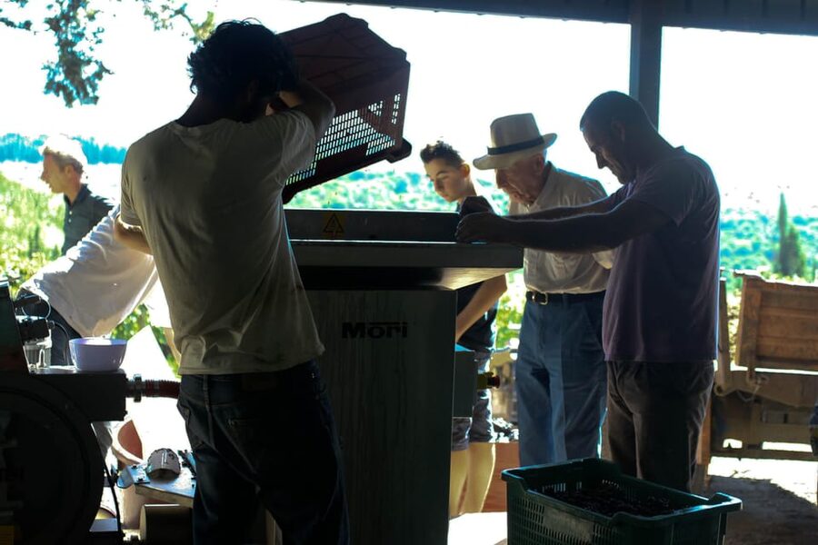 Chianti Organic wine tasting - Key Points to Know Before You Go