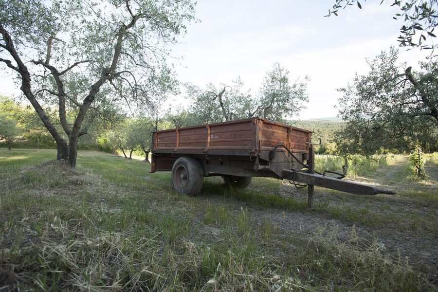 Chianti Organic wine tasting - The 2.5-Hour Route: Pickup, Village Walk, and Cellar Time