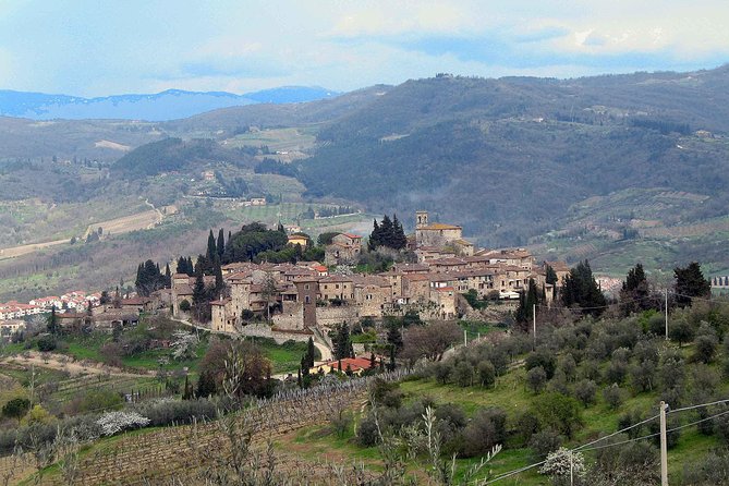 Chianti Region and San Gimignano including wine tasting and light lunch - Why this day trip works: San Gimignano first, then Chianti