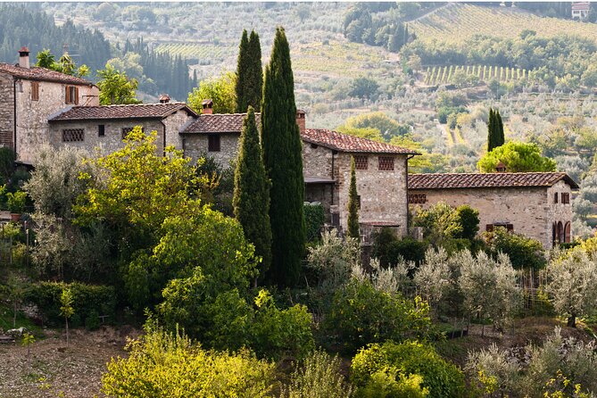 Chianti Region and San Gimignano including wine tasting and light lunch - Montefioralle Winery: medieval village views plus a tasting-focused stop