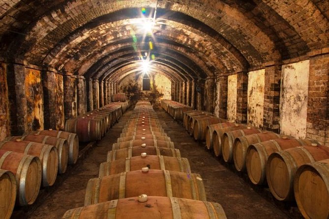 Chianti & Supertuscan Tour 2 Wineries Small Group 8 people max from Florence - Winery stop 2: a family-run Alterio-style experience with a personal touch