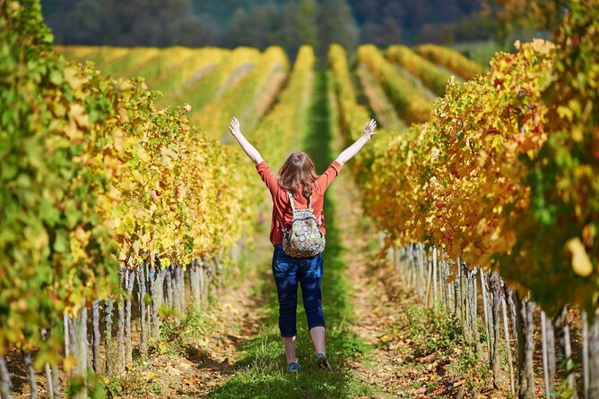 Chianti & Supertuscan Tour 2 Wineries Small Group 8 people max from Florence - Comfort and timing: how to plan your day in Florence