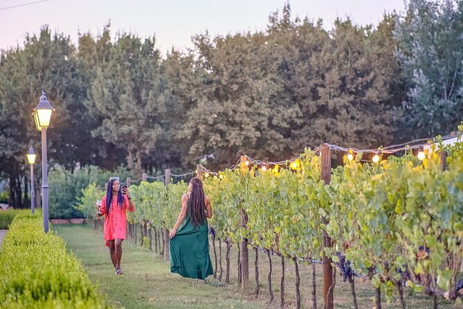 Chianti Vineyards Escape from Florence with Two Wine Tastings - What to buy at the wineries: wine, oil, balsamic, and a smarter strategy
