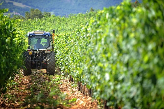 Chianti Vineyards Tours in Private Luxury Van from Florence - Key things that make this Chianti tour worth your time