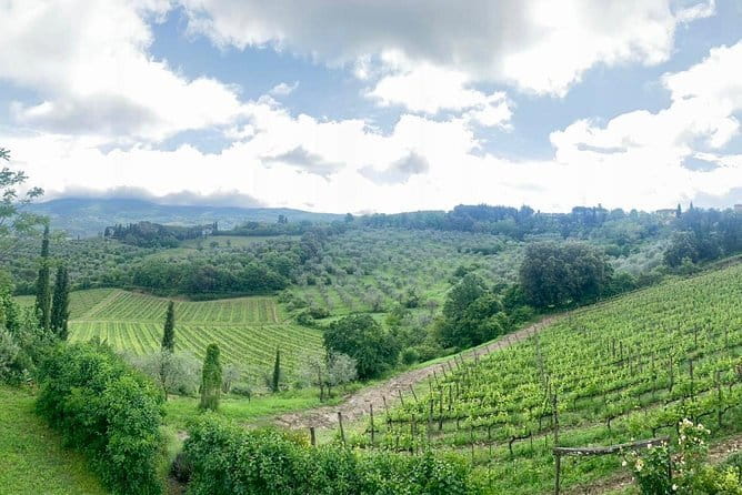 Chianti Vineyards Tours in Private Luxury Van from Florence - San Casciano in Val di Pesa and l’Apparita Estate in Bargino