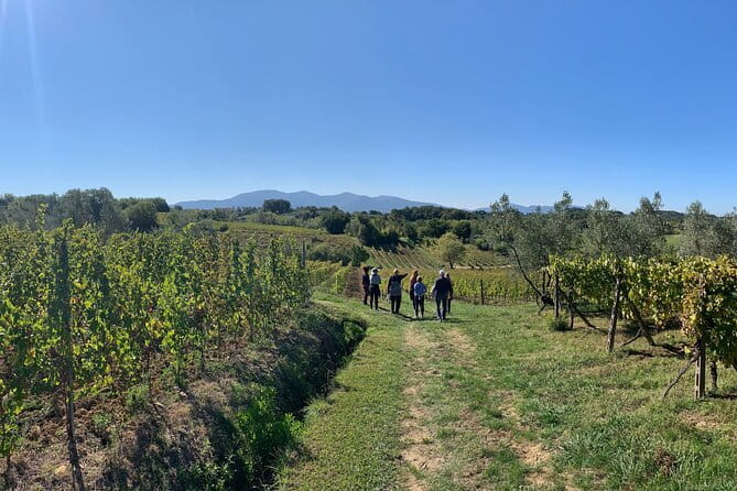 Chianti Wine Tasting Tour from Florence (2 Wineries) - The 9:00 am Florence to Tuscany drive, and why the route matters