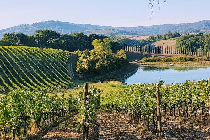 Chianti Wine Tastings Day Trip at Sunset from Florence - Key Things to Know Before You Go
