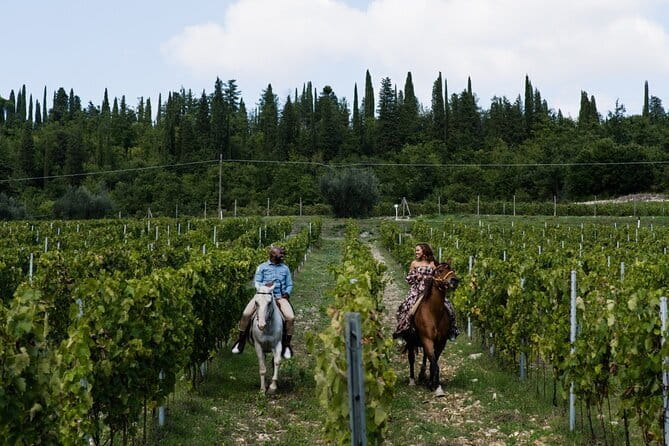 Chianti Wine Tastings Day Trip at Sunset from Florence - The Second Winery: Different Vibes, Different Tasting Styles