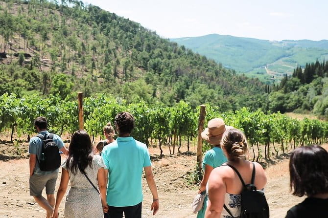 Chianti Wine Tour from Florence - Stop One at an Organic Winery: Winemaking Secrets and First Tastings