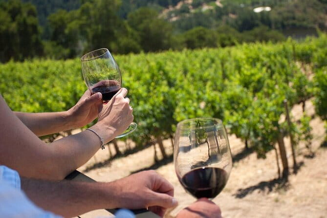Chianti Wine Tour from Florence - Who This Chianti Tour Fits Best (and Who Should Think Twice)