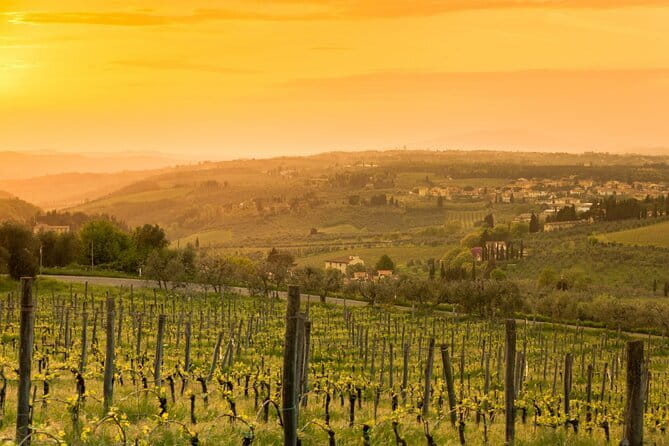 Chianti Wine Tour from Florence to San Gimignano with 2 Wineries - Price and Value: What $330.39 Includes, and What Costs Extra