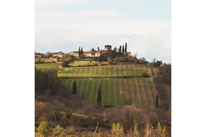 Chianti Wine Tour from Florence to San Gimignano with 2 Wineries - Farm SantAppiano Cellar Visit: Learn Production, Then Decide on Lunch