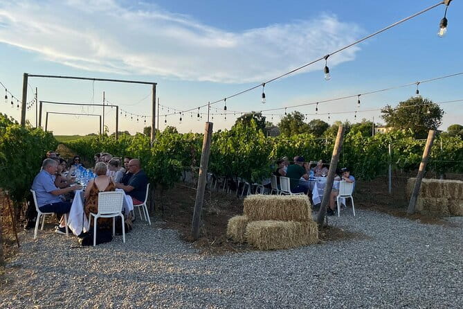 Chianti Wine Tour from Florence with Tastings - The First Winery Stop, Fattoria Lornano and Your Starter Tasting