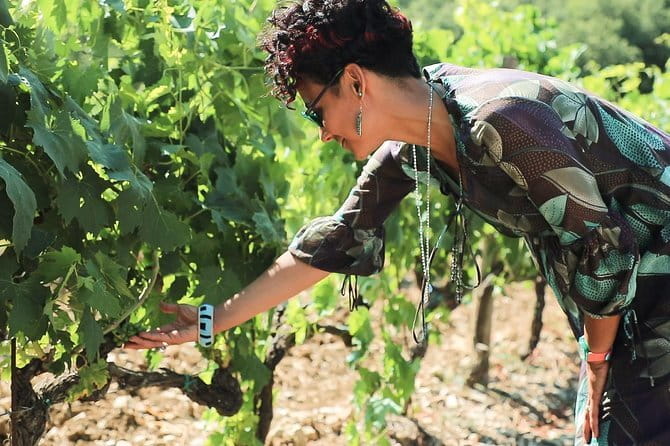 Chianti Wine Tour from Florence - Why the Via Chiantigiana Drive Is Half the Point