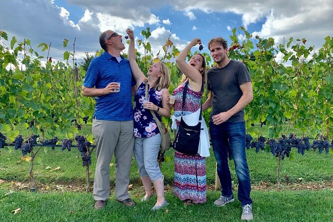 Chianti Wine Tour in Tuscany from Florence - Small-group comfort from Florence, minus the headache
