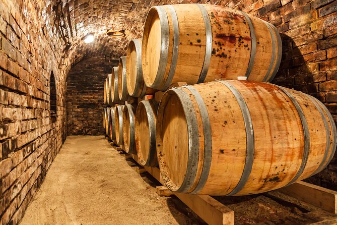 Chianti Wine Tour in Tuscany from Florence - Who this Chianti and San Gimignano tour fits best