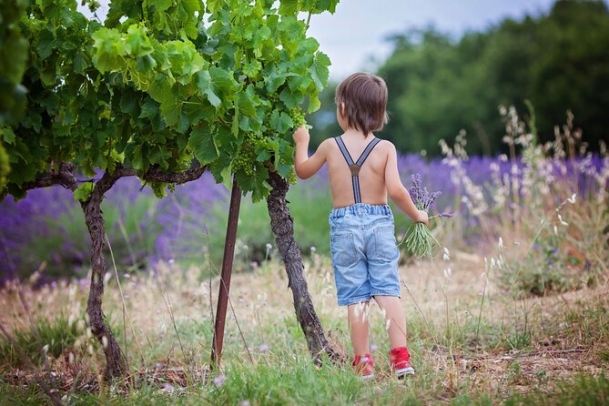 Chianti Wine Tour in Tuscany from Florence - Chianti winery visits and the chance to buy and ship