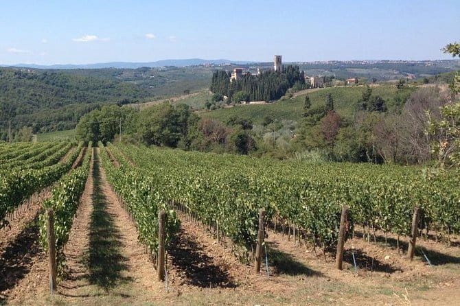 Chianti Wine Tour - Private Wine experience in Tuscany Countryside - Why This Private Chianti Day From Florence Works So Well