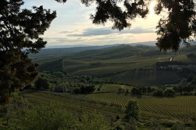 Chianti Wine Tour - Private Wine experience in Tuscany Countryside - Badia a Passignano: A Monastery Stop That Sets the Tone for Chianti