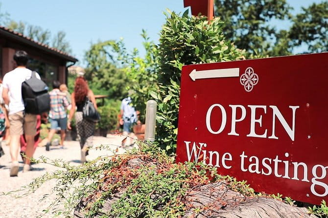 Chianti Wine Tour: Two Wine Tastings, Vineyards and Cellar Visit - Key Things to Know Before You Go