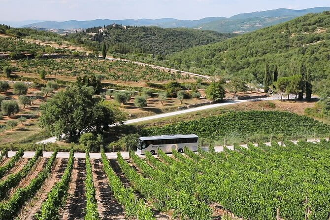 Chianti Wine Tour: Two Wine Tastings, Vineyards and Cellar Visit - Chianti Wine Tour from Florence: Why This Half-Day Format Feels Right