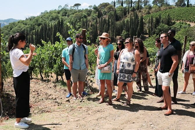 Chianti Wine Tour: Two Wine Tastings, Vineyards and Cellar Visit - The Scenic First Stop on Via Chiantigiana: Tuscany Before the Wine