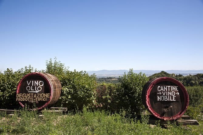 Chianti Wine Tour: Two Wine Tastings, Vineyards and Cellar Visit - The Wine and Food Breakdown: What You’ll Taste and How to Pace It