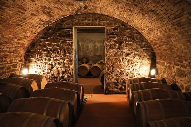 Chianti Wine Tour: Two Wine Tastings, Vineyards and Cellar Visit - Price and Value: Is $65.53 Worth It for Chianti Tastings?