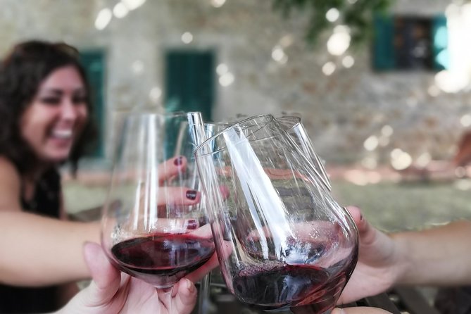 Chianti Wine Tour with Tuscan Lunch Open Top Van - Fattoria di Luiano: lunch plus cellar tour, with specially selected wines