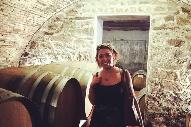 Chianti Wine Tour with Tuscan Lunch Open Top Van - Price and logistics: does $192.53 make sense?