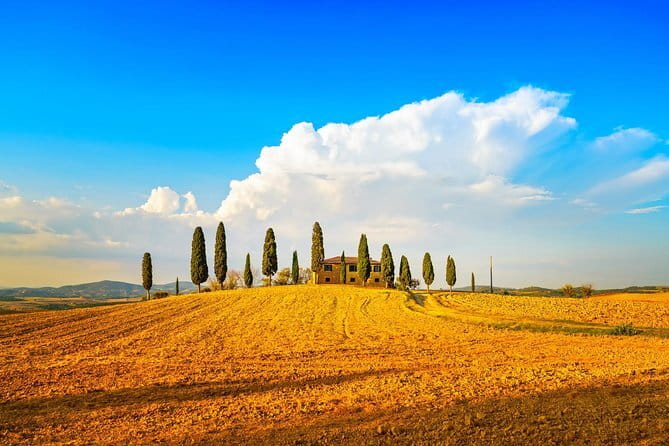 Cinque Terre and Pisa Full Day Tour from Florence - How much walking and climbing is really involved