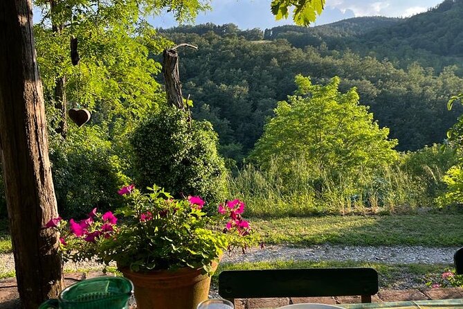 Cooking Class for Pasta Lovers in Florence Country House - A 4-hour market-to-country-house pasta day outside Florence